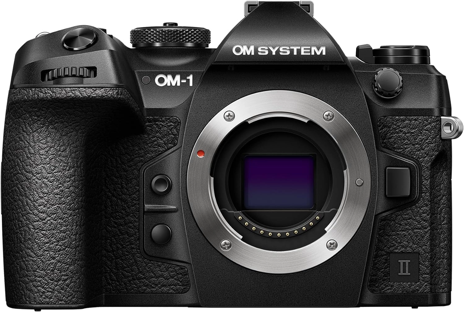 OM SYSTEM 1 Mark II