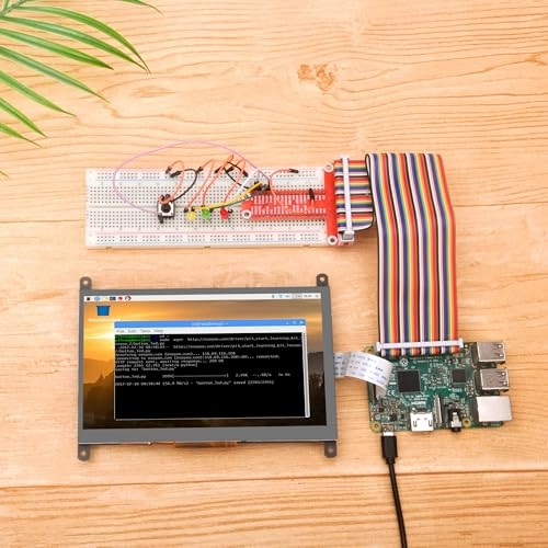 DSI Touch Screen LCD Display - 2019012600 7 Inches 800x480 Pixels