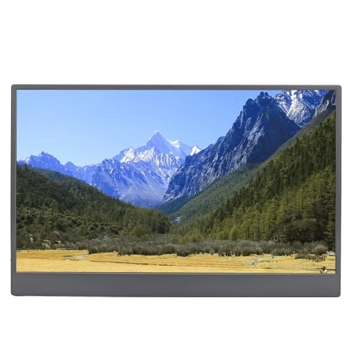 Portable Monitor - 1920 X 1080 15.6 Inch