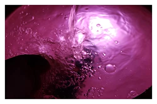 Professional Submersible Light