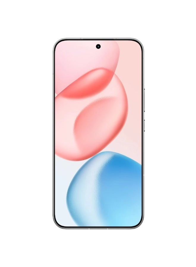 400 Pro - 12GB 256GB