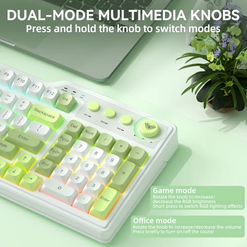 F3099 - Wired/Wireless