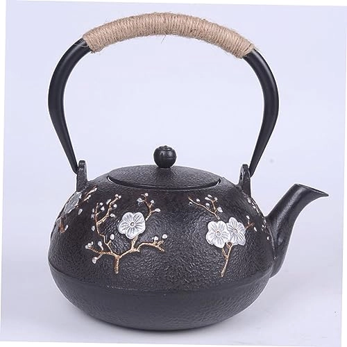 Cast Iron Teapot