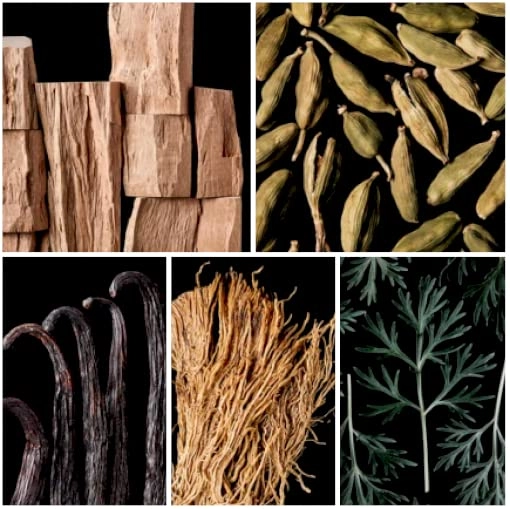 The Secret Temptation Eau de Toilette 100ml