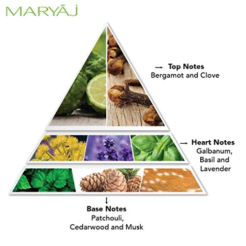 After Dark - Eau de Parfum 100ml + Wild Speed