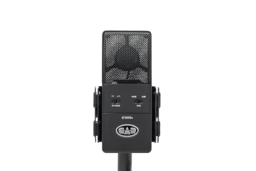 E100SX XLR Microphone