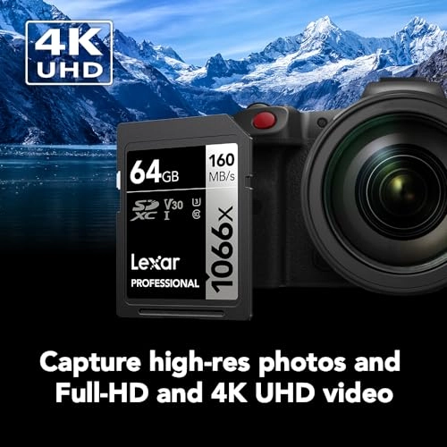 Professional 1066x SDXC - 64GB