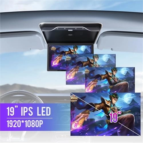 Roofmount LCD Monitor - 19in