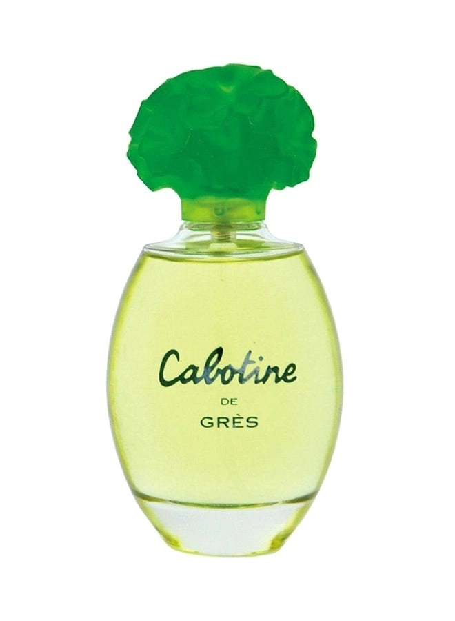 Perfume For Women Eau de Toilette 100ml
