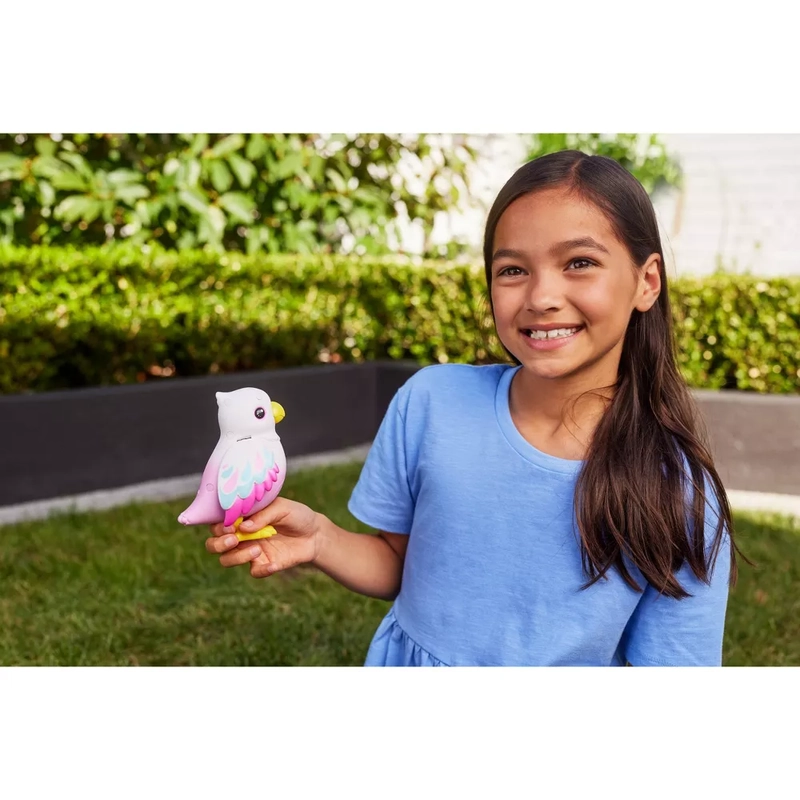 Polly The Magic Bird