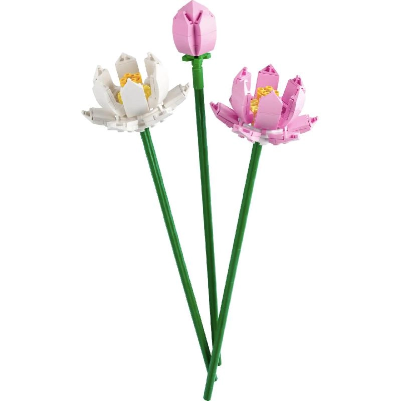 Lotus Flowers (40647) - Iconic