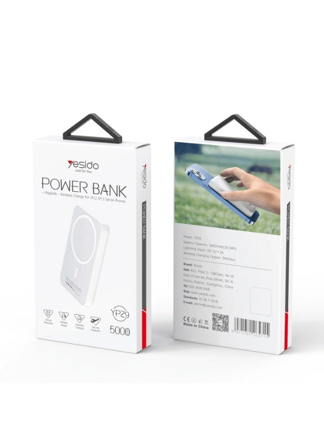 YP29 - 5000mAh Qi USB-C