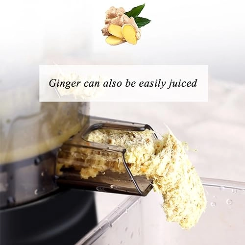 Large Juice Squeezing Extractor - 150W 2000ml