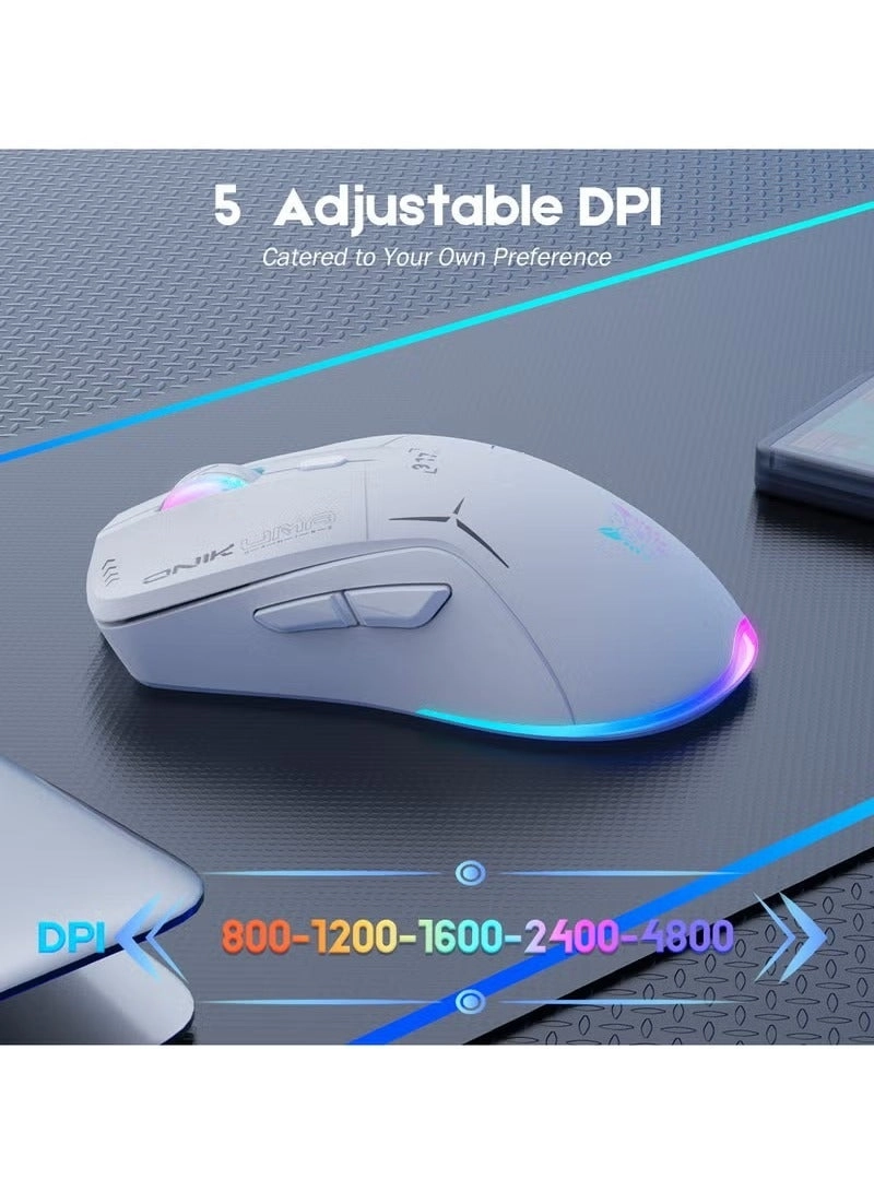 W917-1 - Combination