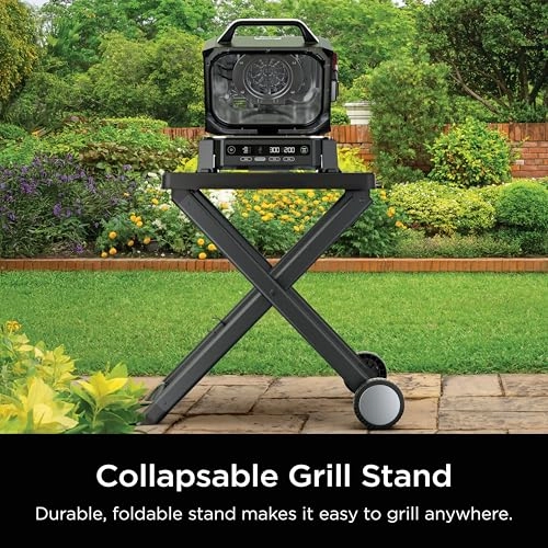 Woodfire Outdoor Grill & Smoker - Electric