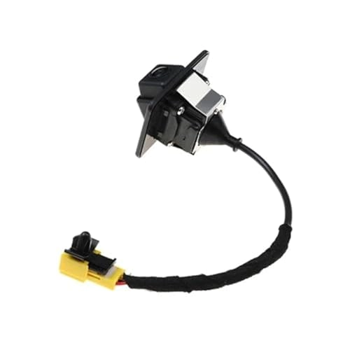 Rear View Camera - Night vision