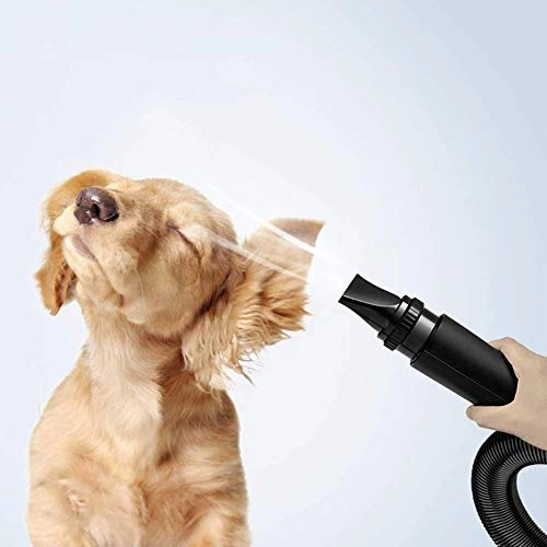 Dog Hair Dryer - 2000W Stepless Adjustable Speed
