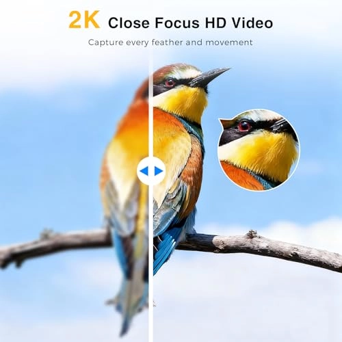 Close-Focus Window Bird Camera 2K