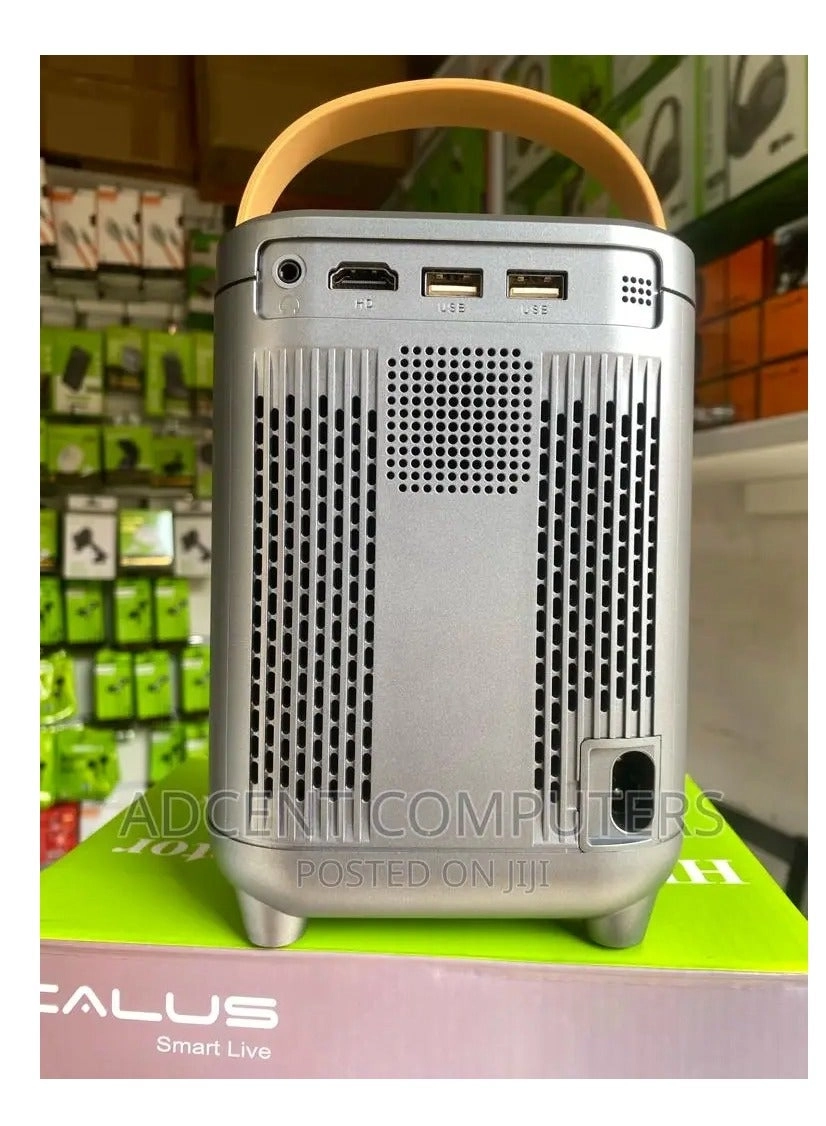 Z8X PRO 1200 ANSI lumens