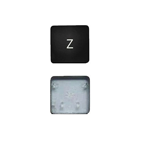 AP11 Type Z Key Cap and Hinge