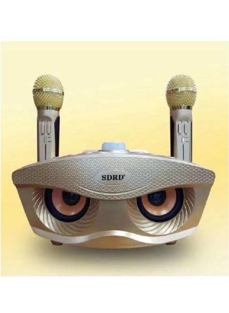 SDRD SD-306 - Dual Wireless Mic