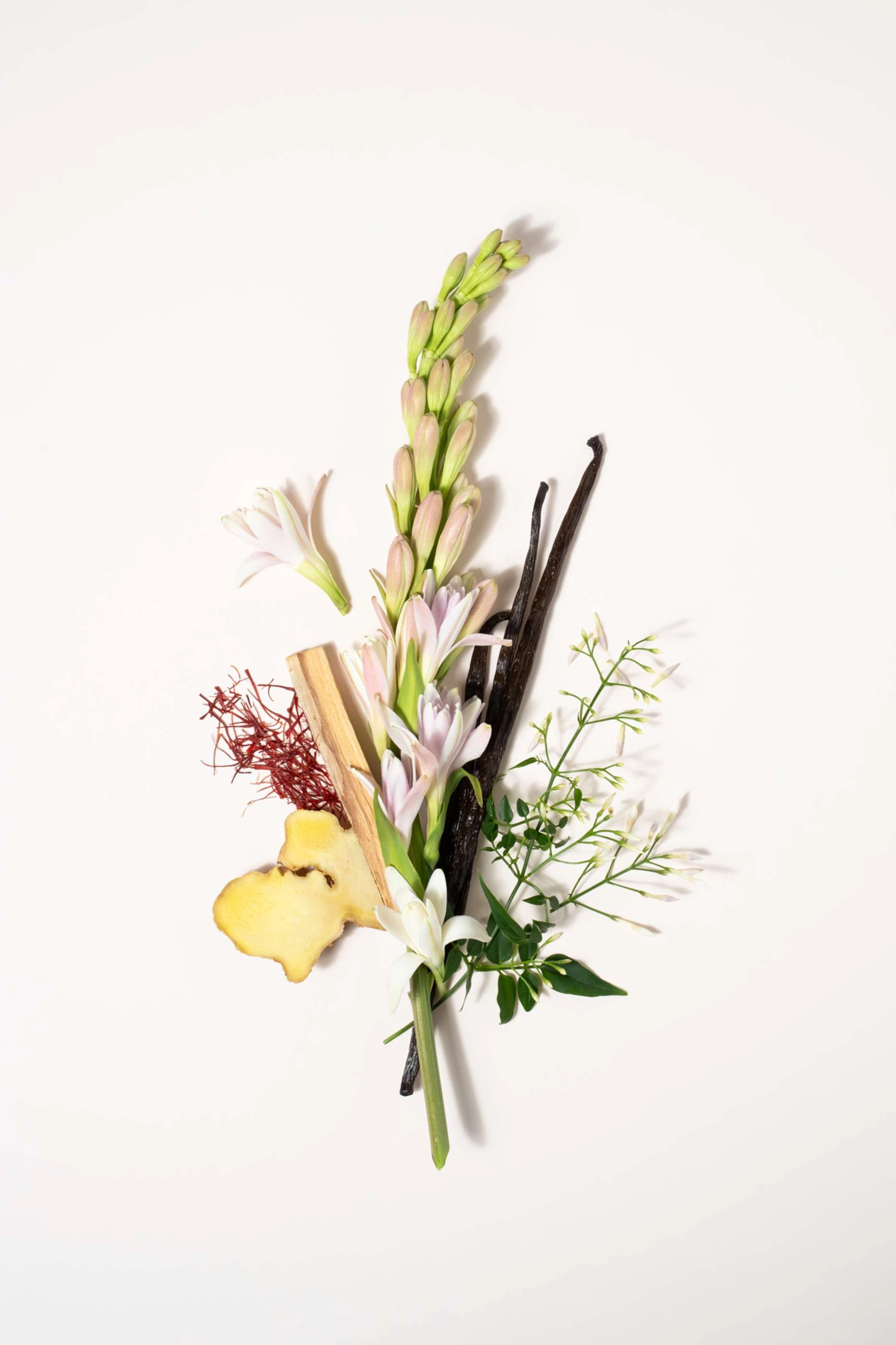 Tubéreuse Nuit Blanche Eau de Parfum