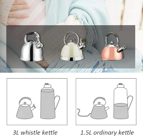Whistling Kettle - 3L
