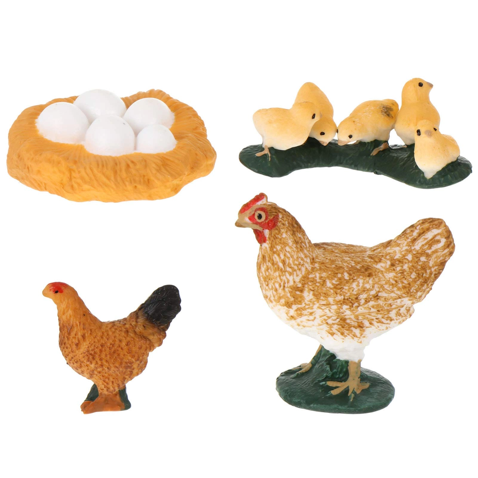 NEDOUK Chick Life Cycle Exploration Set Biology - 4 pieces