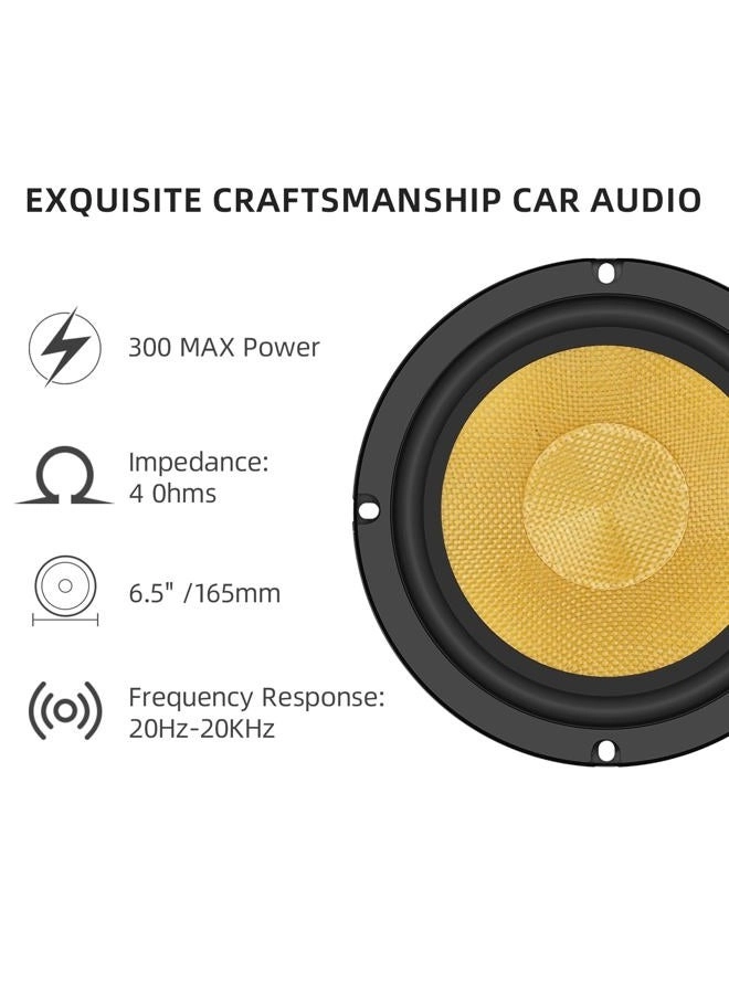 ZDY-6502B - 6.5 Inch Coaxial