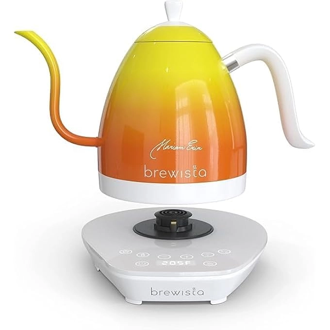 Artisan Electric Kettle