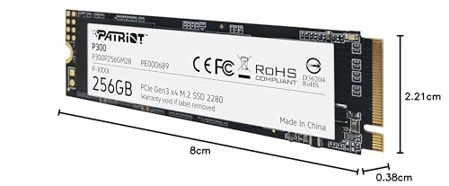 P300 - 256GB M 2