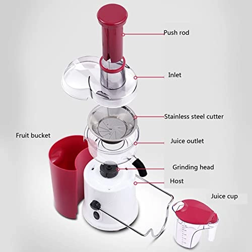 Slow Masticating Juicer Extractor - 700W 1000ml