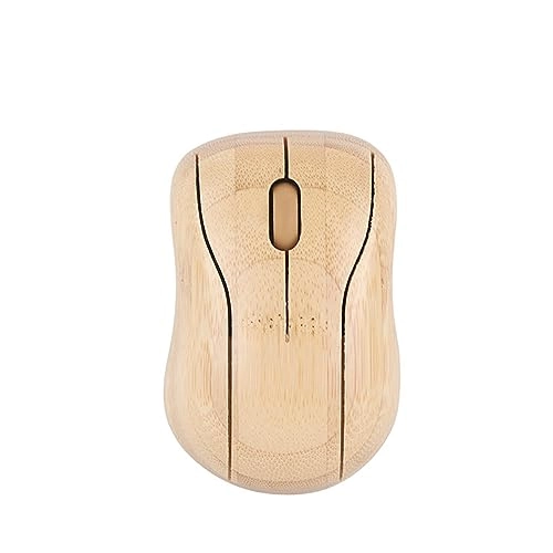 Computer Wireless Devices - 2.4G Wireless