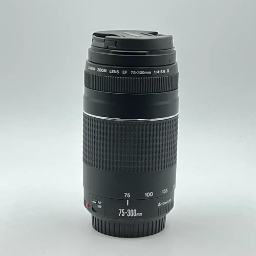 EOS Rebel T6 + EF-S 18-55mm f/3.5-5.6 IS II