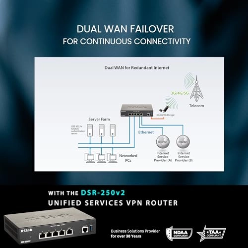 DSR-250V2 - 31Gbps