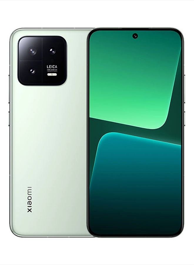 13 - 8GB 256GB