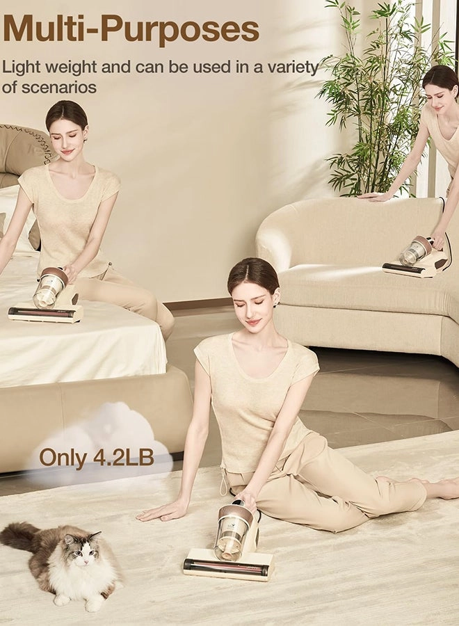 BX6 Lite - 600W 15kPa Beige Gold