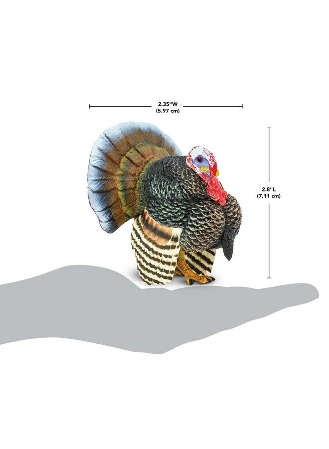 Thanksgiving - Turkey