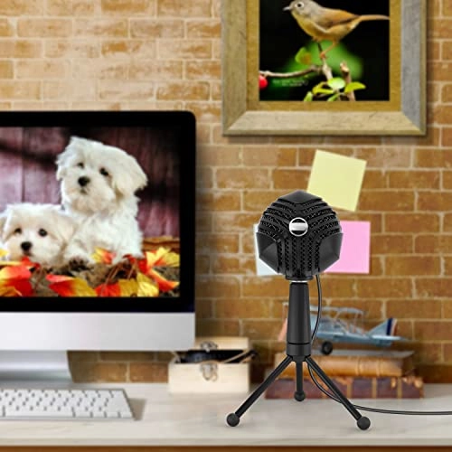 Jd-950 USB+3.5mm-Mini-Jack Microphone