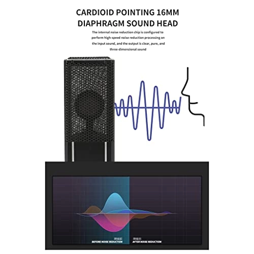 G65 Wired Microphone