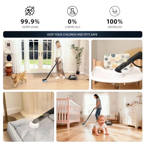 Household Steam Cleaner 01 - 65 PSI 50 fl oz