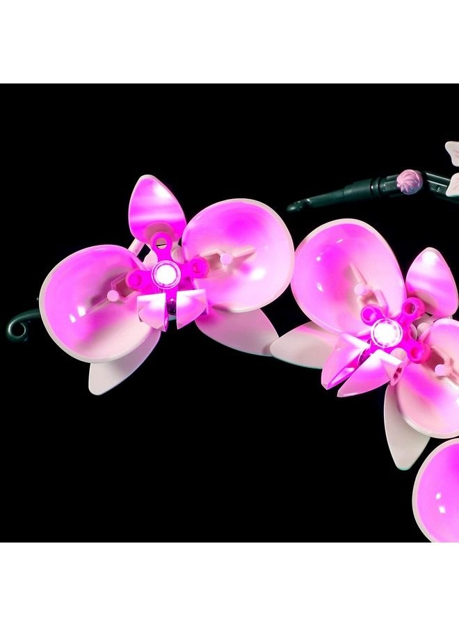 Led Lighting Kit - Flowers