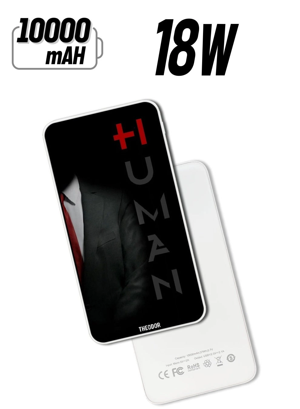 Theodor PPBA247 - 10000 Watt-hour 18W PD