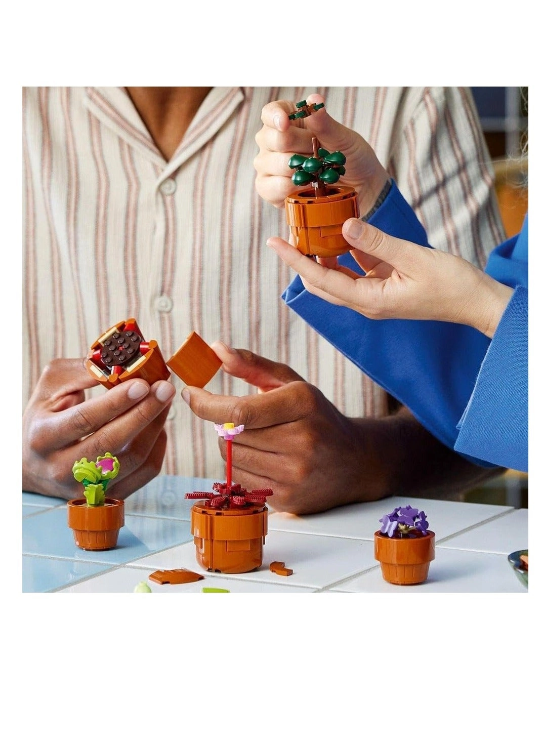 LEGO Botanical Tiny Plants (10329)