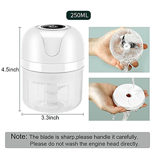 Mini Garlic Chopper - 250ml USB Rechargeable