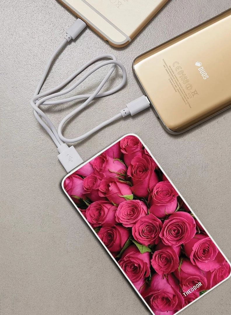 PPBA448 - 10000mAh 18W PD