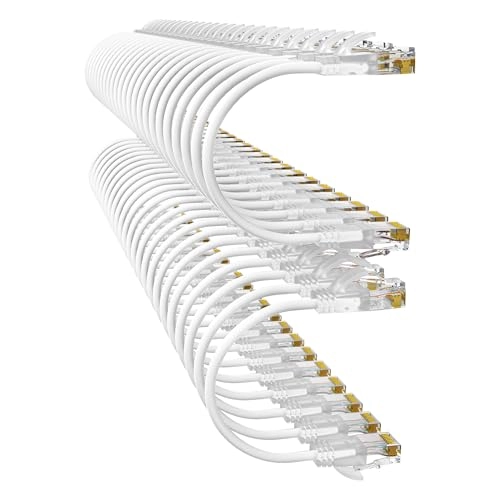 Cat6a Patch Cable - 1ft
