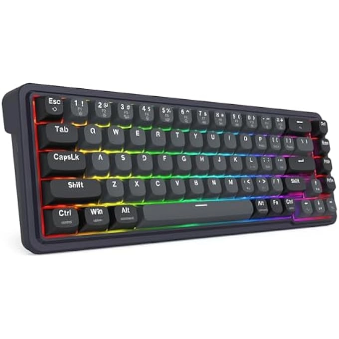 rayihni K673 - US Wired