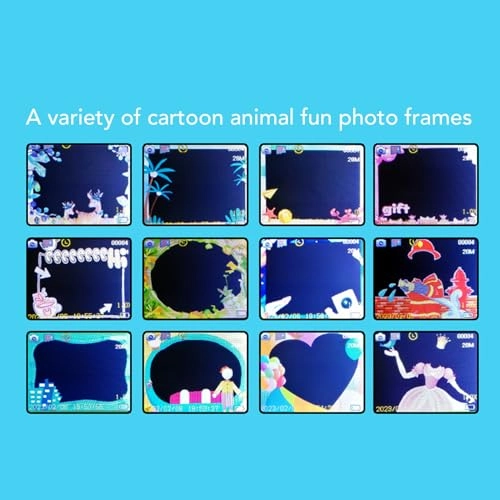 1080p Compact Camera