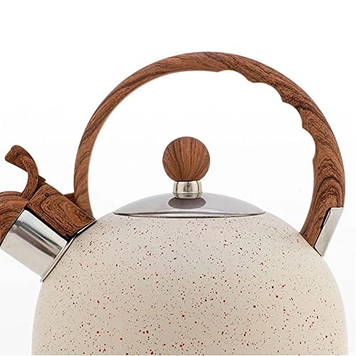 Kettle - food-grade stainless steel